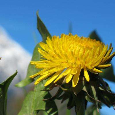 金沙乐娱场app下载