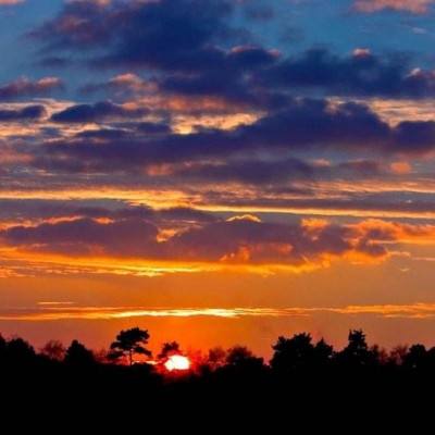 云开平台登录app